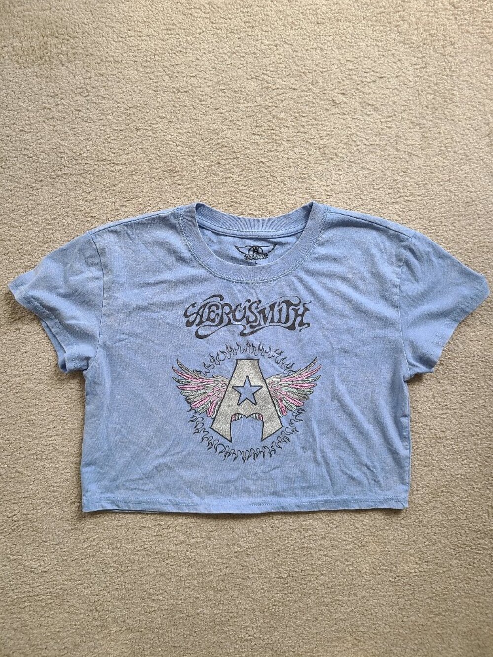 Aerosmith crop graphic tee